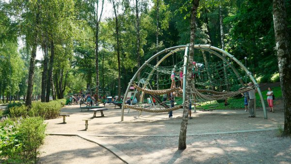 Центральный ПКИО Воронеж