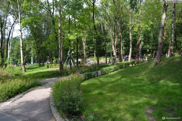 Парк Динамо Воронеж 2022г