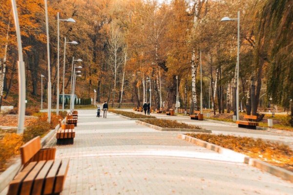 Парк Динамо Воронеж