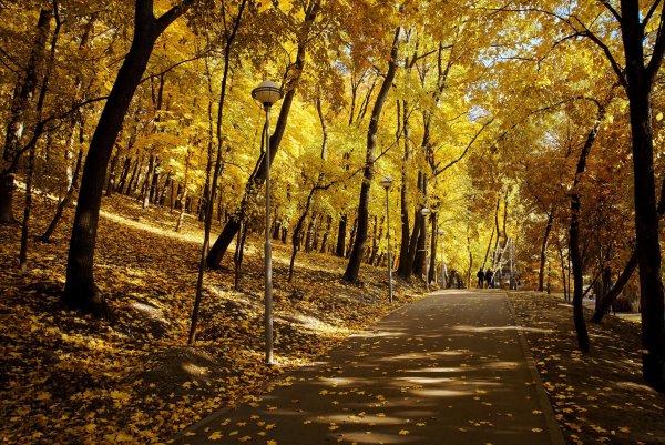 Парк Динамо Воронеж осень