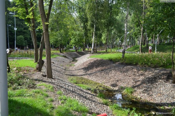 Воронеж Динамо Центральная аллея