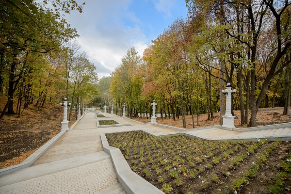 Парк Динамо Воронеж