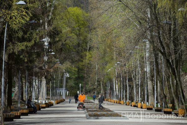 Парк Динамо в Воронеже сейчас