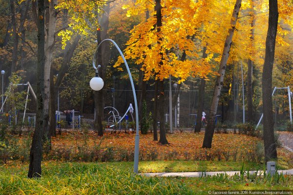 Парк Динамо Воронеж осенью