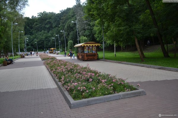 Город Воронеж парк Динамо