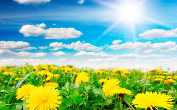 Природа солнце