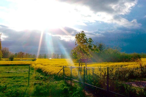 Погода лето