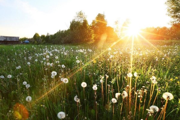 Солнечная погода