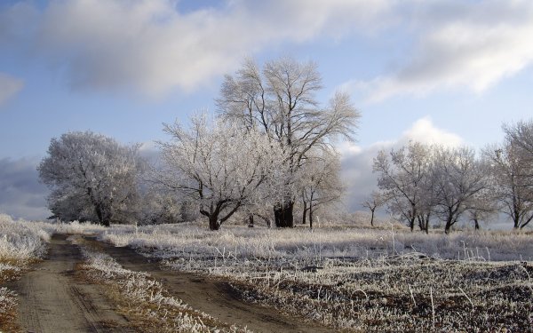 Поздняя осень в поле