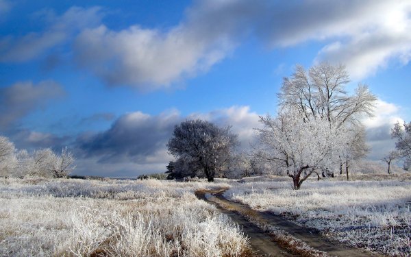 Ранняя зима