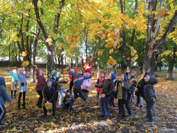 Экскурсия в осенний парк