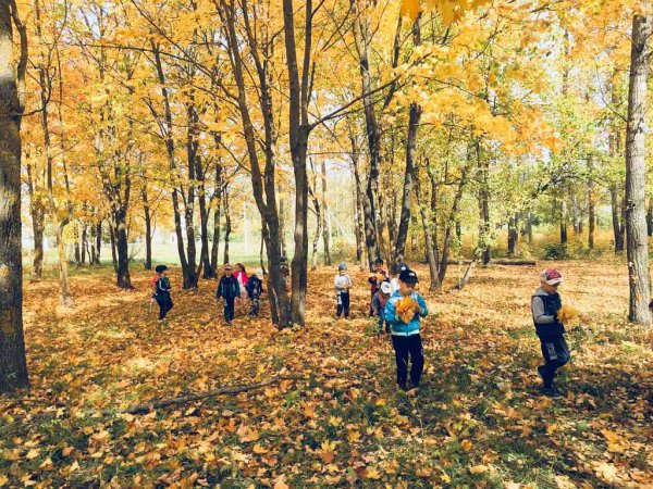 Группа осенний парк Жуковка