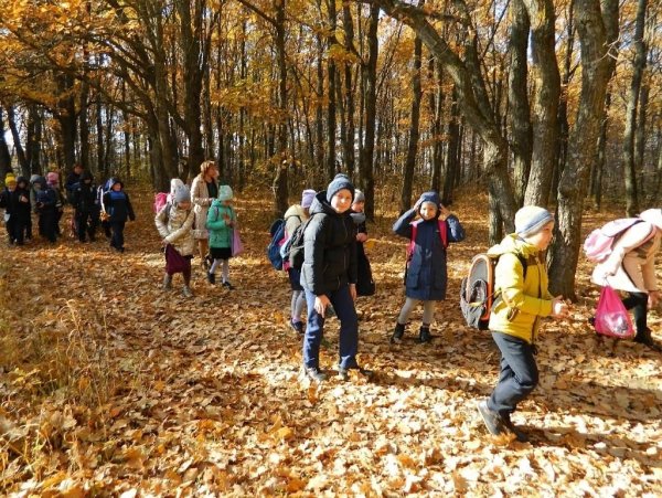 Экскурсия по осеннему лесу