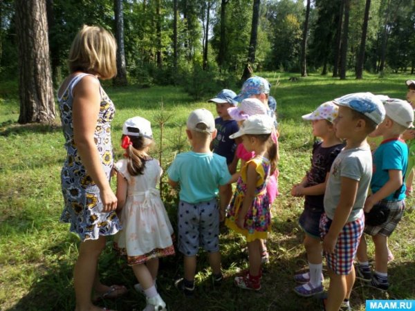 Дети на экскурсии на природе