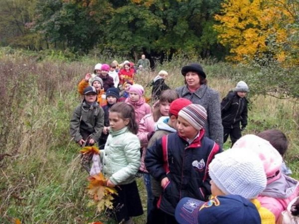 Экскурсии в природу в школе