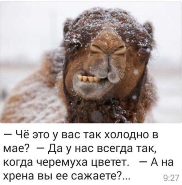 Че это у вас так холодно в мае да у нас всегда так