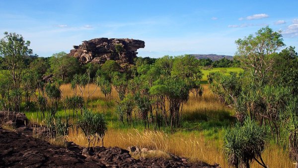 Национальный парк Какаду Флора