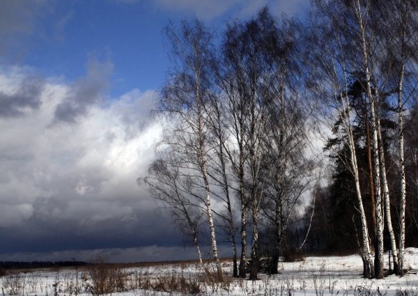 Ранняя Весна ветер