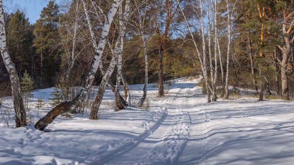 Март в Сибири