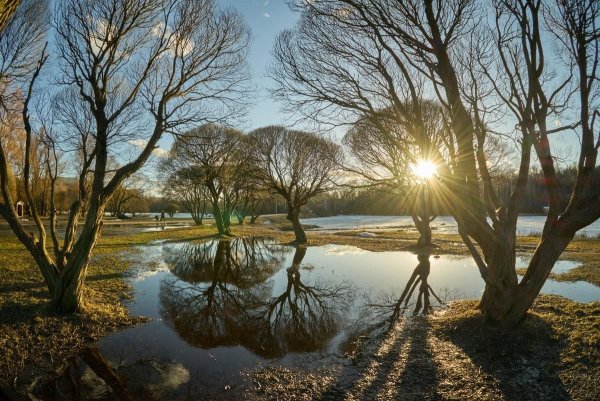 Природа ранней весной