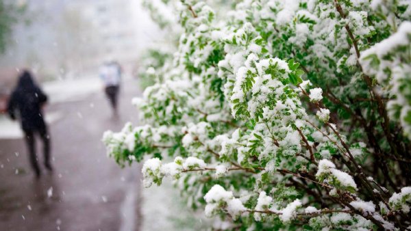 Весна снегопад
