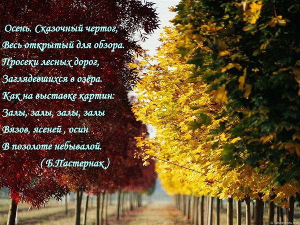 Пастернак осень сказочный чертог