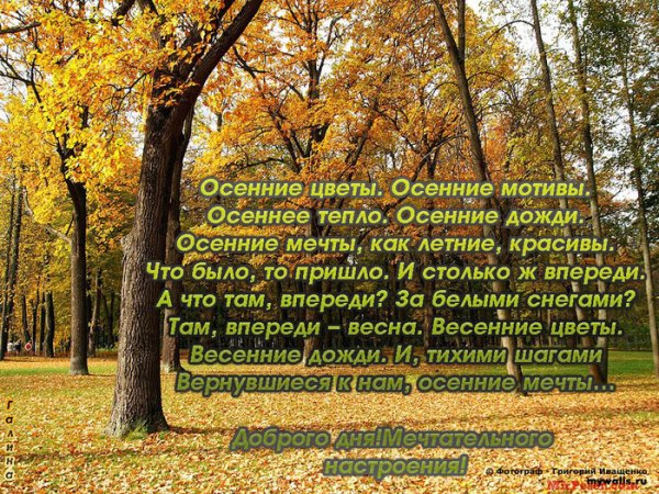 С добрым осенним утром стихи