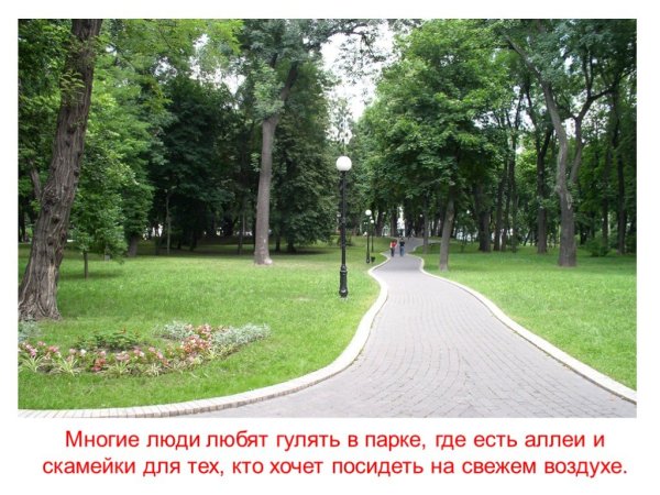 Люблю гулять в парке