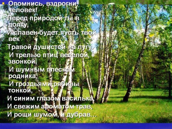 Человек и природа стихи