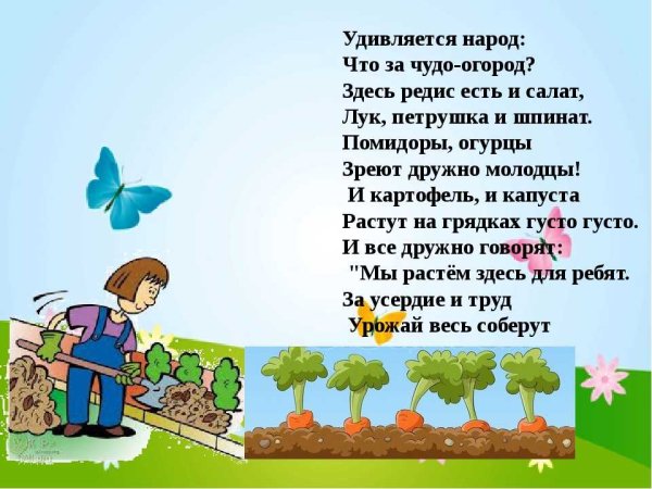 Стихи про огород