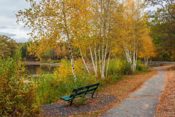 Осенний парк Россия