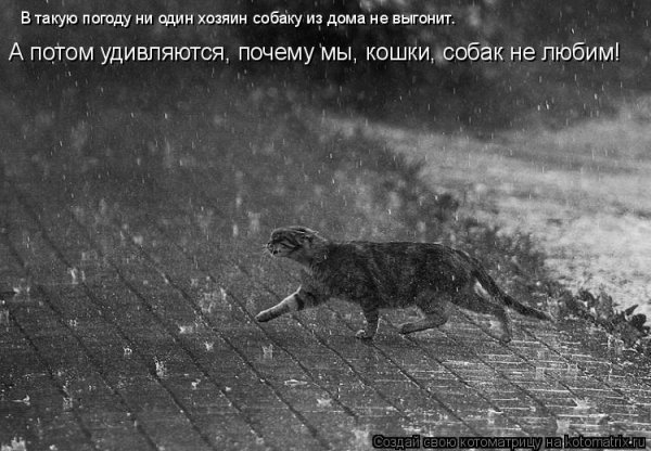 В жизни как под дождем наступает