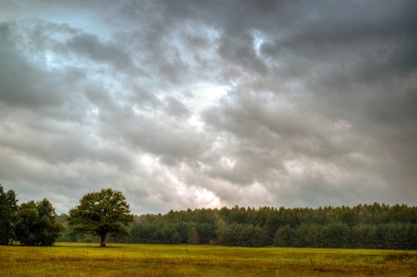 Хмурое небо