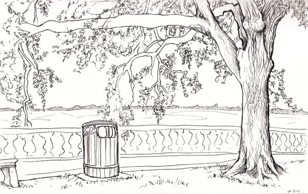 Раскраска парк