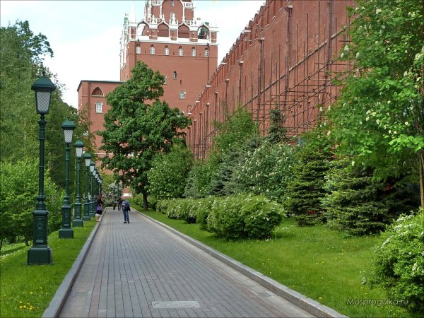 Александровский сад парк