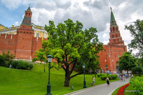 Парк Александровский сад Москва