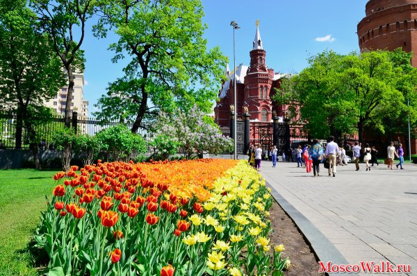 Александровский сад Москва