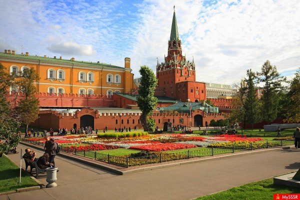 Москва Кремль Александровский сад