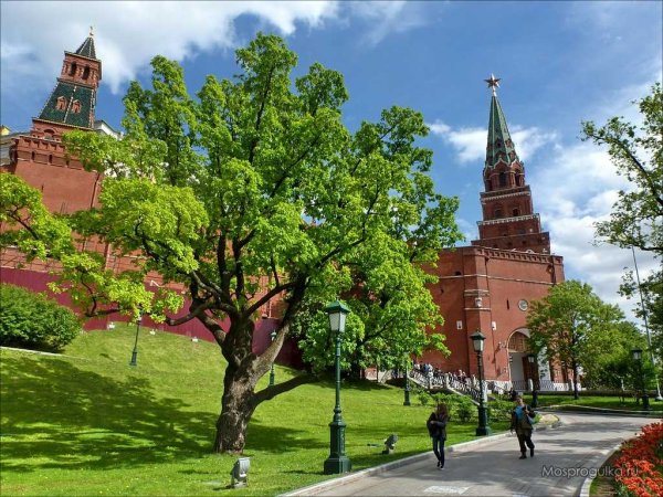 Александровский сад Боровицкая башня