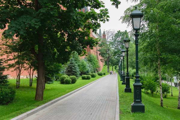 Александровский парк Москва