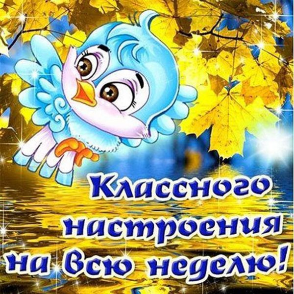 Хорошего настроения на всю неделю