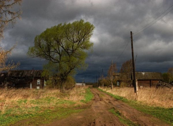 Пасмурная осень в деревне