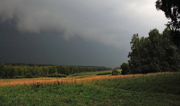 Поле после дождя