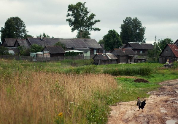 Кострома деревня Сельцо Костромская область