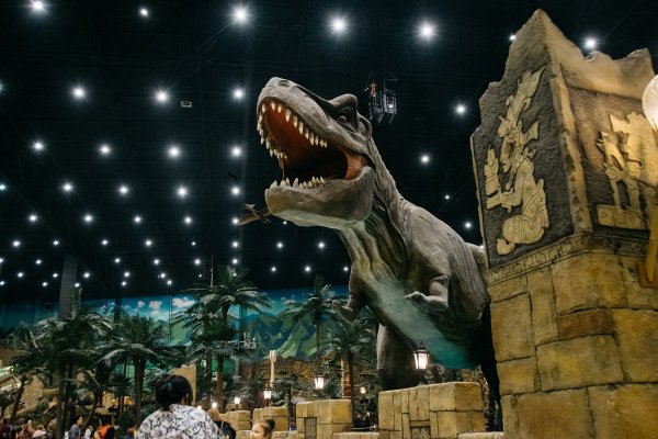 Парк аттракционов в Москве остров мечты