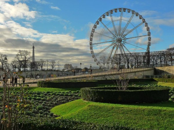 Тюильри Париж