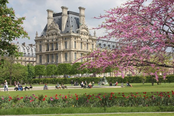 Сад Тюильри в Париже