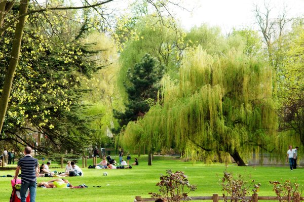Парк Монсо садово Парковое искусство
