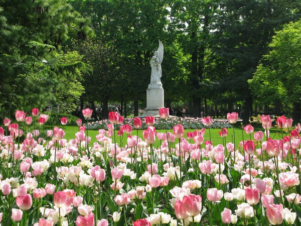 Весенний Парижский парк