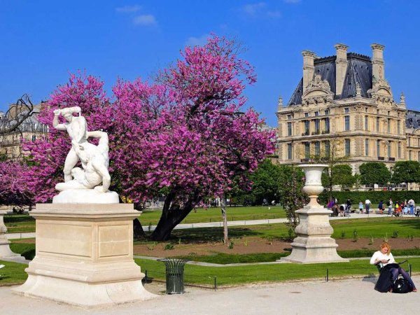 Парк Тюильри в Париже